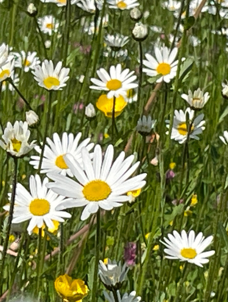 GLÜCK YOGA - Team Building, Stressabbau, Entspannungstechniken, Mitarbeitergesundheit