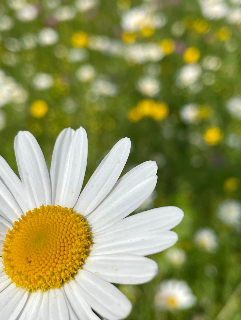 GLÜCK YOGA - in der Region Reutlingen / Tübingen / Pfullingen / Eningen / Stuttgart