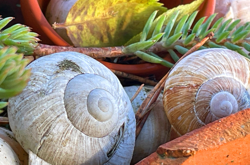 GLÜCK YOGA - Workshops für Firmen