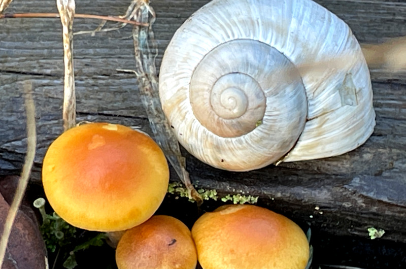 GLÜCK YOGA - Yoga-Nachmittag